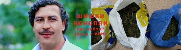apvp Белокуриха