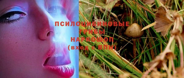 spice Беломорск
